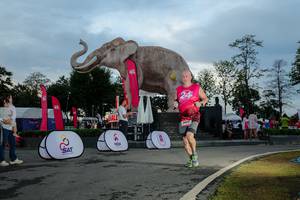 BIB: 
                            <button type="button" onclick="openModal(26529468)" class="btn btn-primary btn-sm float-right btn-popup" data-toggle="modal" data-target=".modal-high-quality">
                        <i class="fas fa-shopping-cart"></i> Add to Cart
                    </button>
                                            <button type="button" onclick="isThisMe(26529468, true)" class="btn btn-success btn-sm float-right btn-popup btn-isme hidden" data-toggle="tooltip" data-placement="bottom" title="นี่คือรูปของคุณใช่ไหม คลิกที่นี่เพื่อเอาเข้าอัลบั้ม">
                        <i class="fas fa-plus"></i> Add to album
                    </button>
                    <button type="button" onclick="isThisMe(26529468, false)" class="btn btn-warning btn-sm float-right btn-popup btn-isnotme hidden">
                        <i class="fas fa-ban"></i> Remove from album
                    </button>